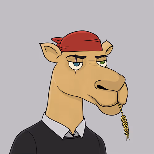 Camelsnftio