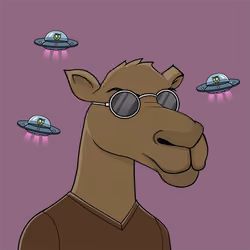 Camel #1058