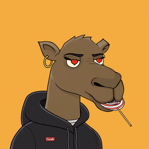 Camelsnftio