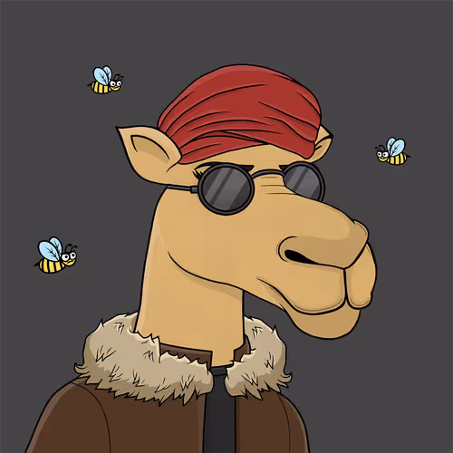 Camelsnftio