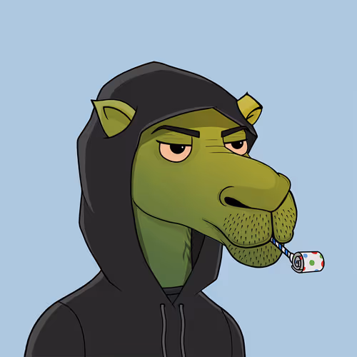 Camelsnftio