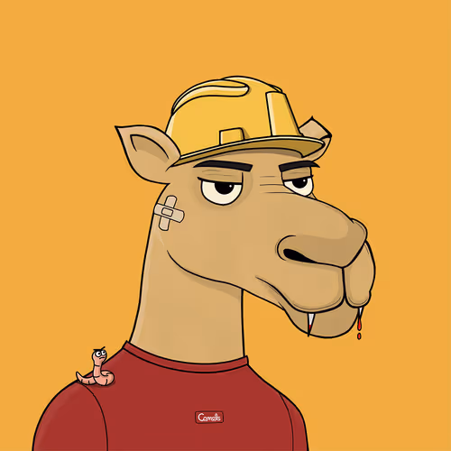 Camelsnftio