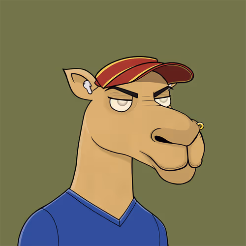 Camelsnftio