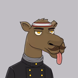Camel #6241