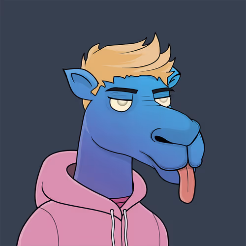 Camelsnftio