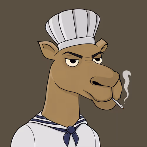 Camelsnftio