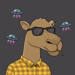 Camel #4365