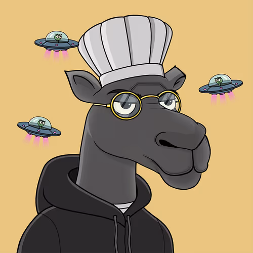Camelsnftio