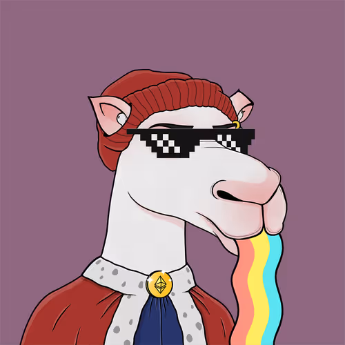 Camelsnftio