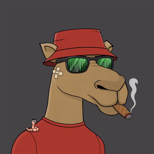 Camelsnftio
