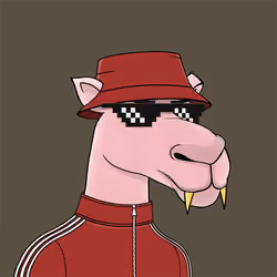 Camel #5375