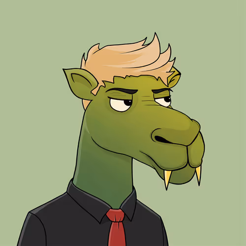 Camelsnftio