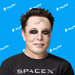 66
