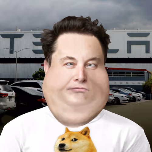 Item #791 Media