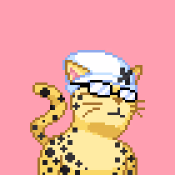 Cats Project