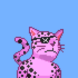 Cat #89
