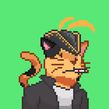 Cats Project