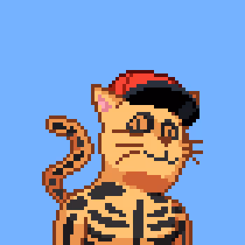 Cats Project