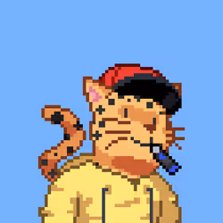 Cat #465