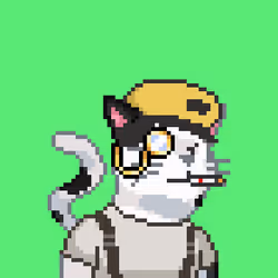 Cat #379