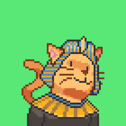 Cat #129