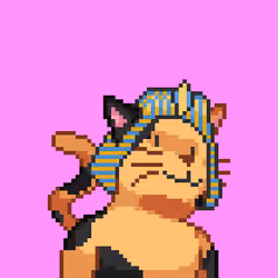 Cat #335