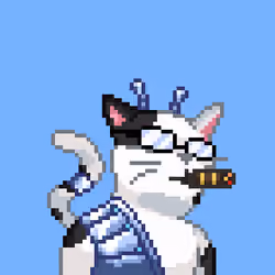 Cat #243