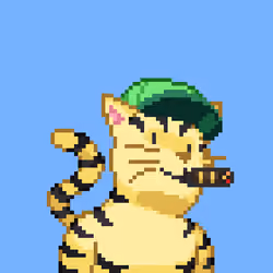 Cat #429