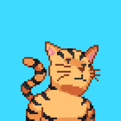 Cat #384