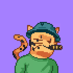 Cat #271