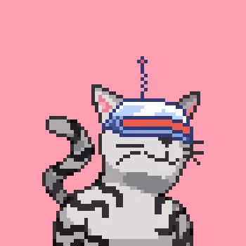 Cats Project