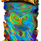 41