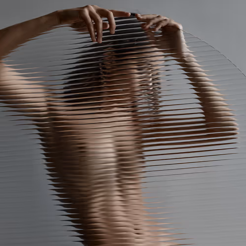 IN THE SHADOW