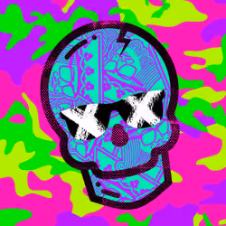Swag Skull #502