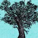 TESTNET:1