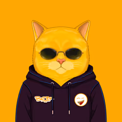 YellowCatz #671