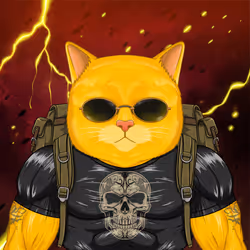 638