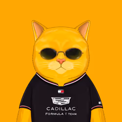 YellowCatz #311