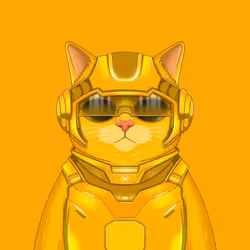YellowCatz #172