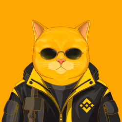 YellowCatz #228
