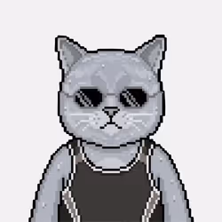 719
