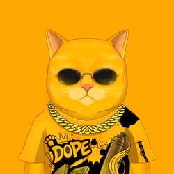 YellowCatz #60