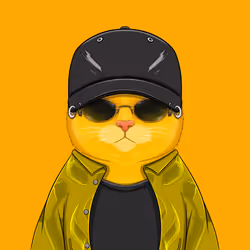 YellowCatz #507