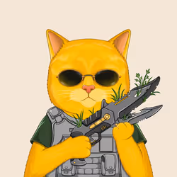 YellowCatz #155
