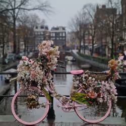 Soul of Amsterdam