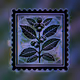 129