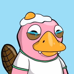 Perky Platypus  #1653
