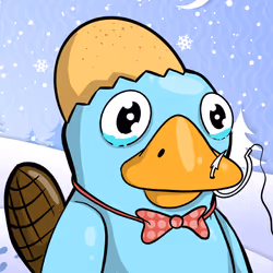 Perky Platypus  #3968