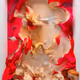 Machine Hallucinations — Renaissance Dreams  - AI Data Sculpture - Edition 1 of 5 + 2AP