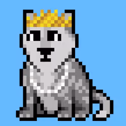 Wolf #9
